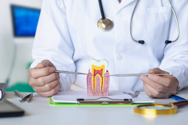 Best Mobile Emergency Dentist in Stigler, OK